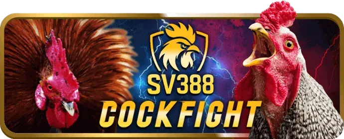 Đá gà cựa sắt trực tiếp tại Bet12